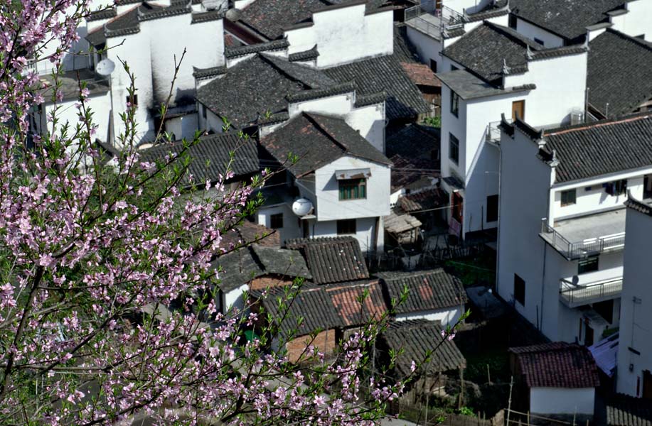 圆梦婺源行
