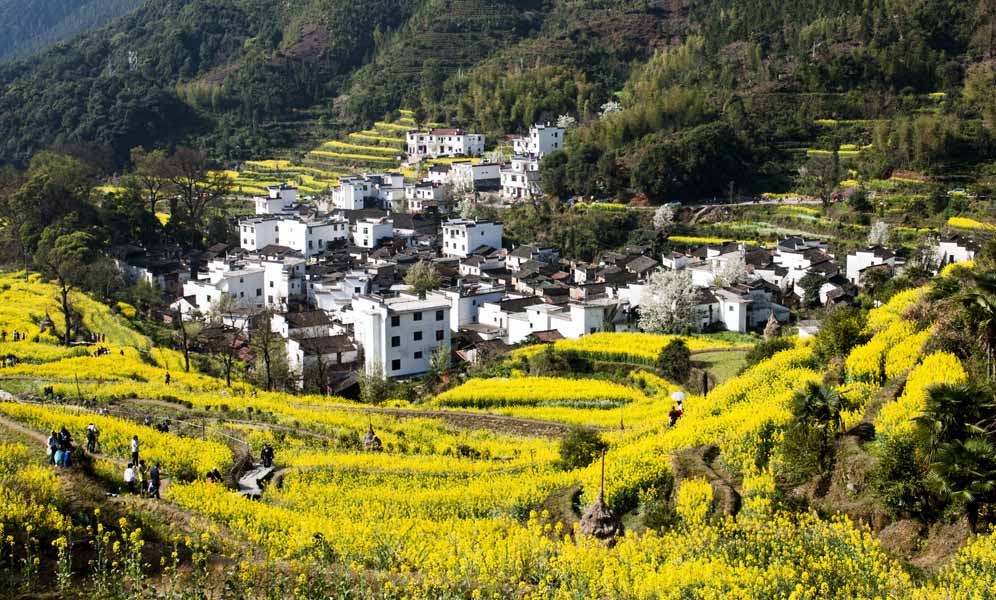 圆梦婺源行