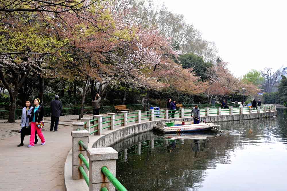 一路风光