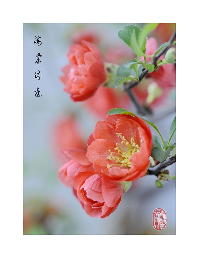 街头摄影师Eric Kim的清单，你或许未必会同意每一条，但肯定可以引发我们的思考：