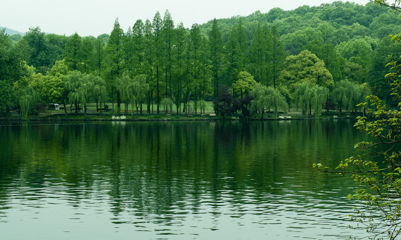 西湖游