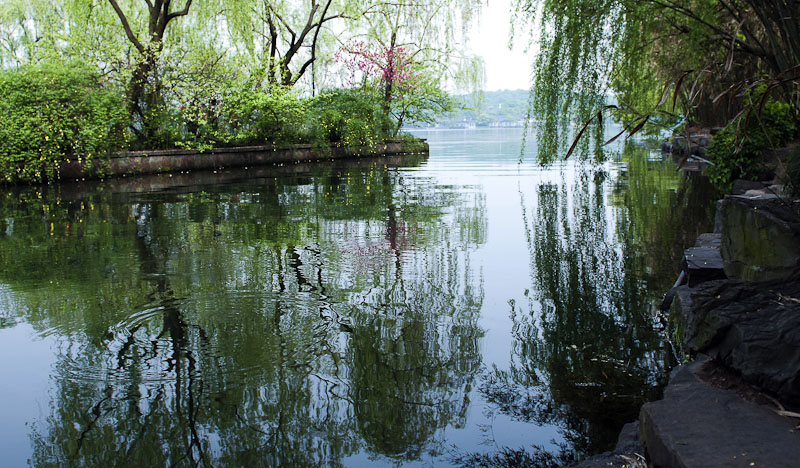 西湖游