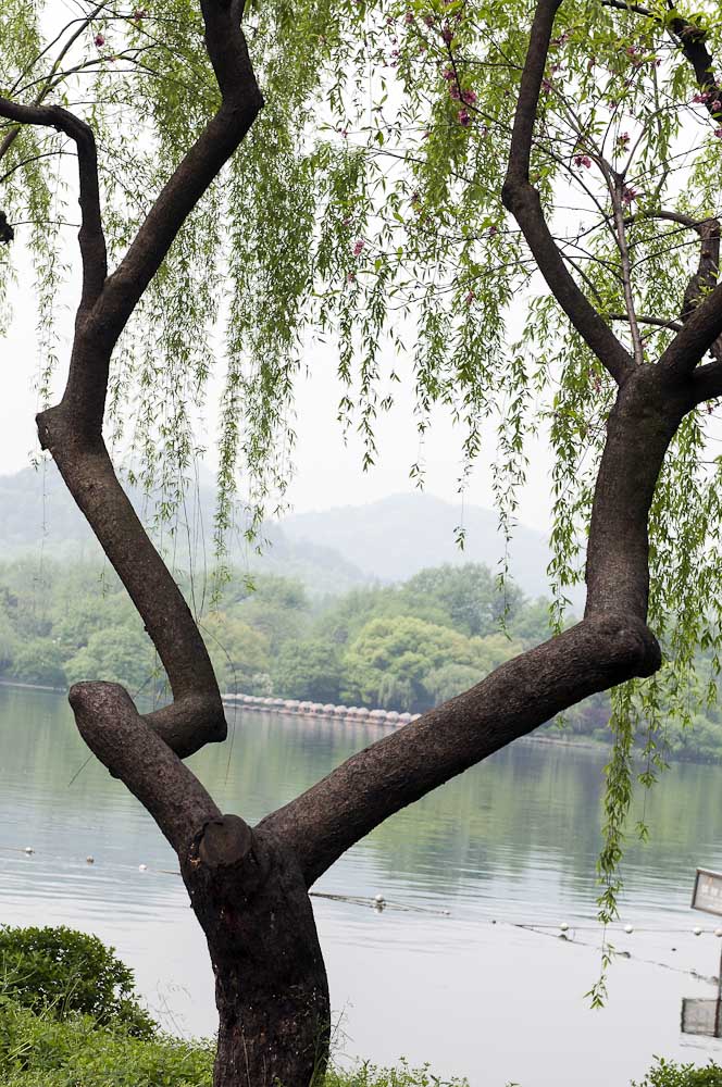 西湖游