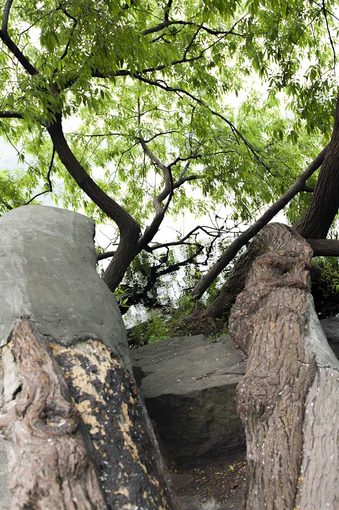 西湖游