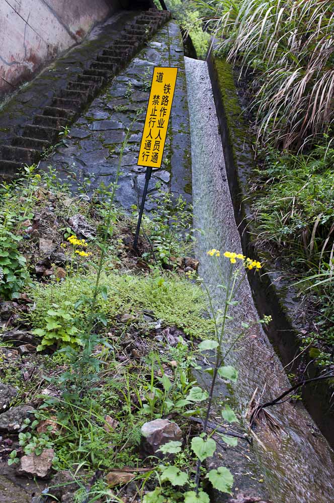千岛湖风光