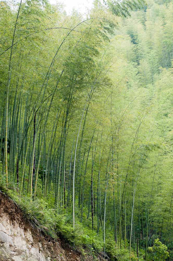 千岛湖风光