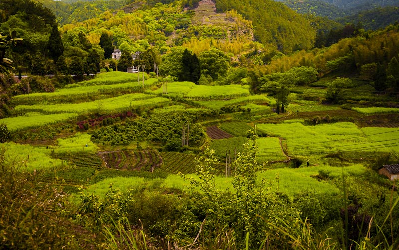 千岛湖风光