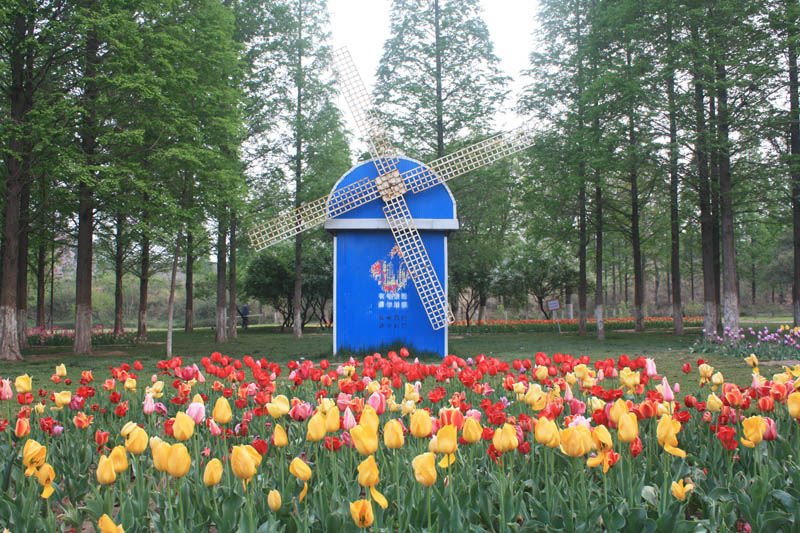 花