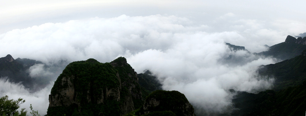 王莽岭风光接片