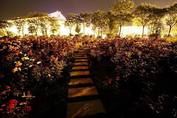 试手深夜拍花