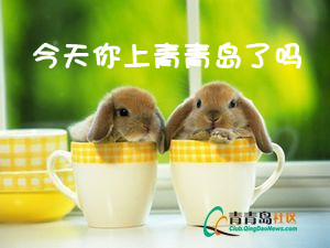 大家好！