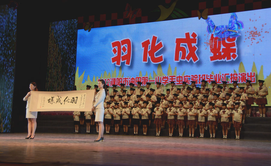 小毛虫羽化成蝶