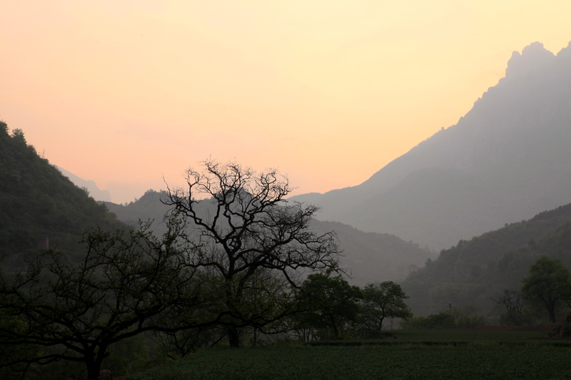 峡谷晨景
