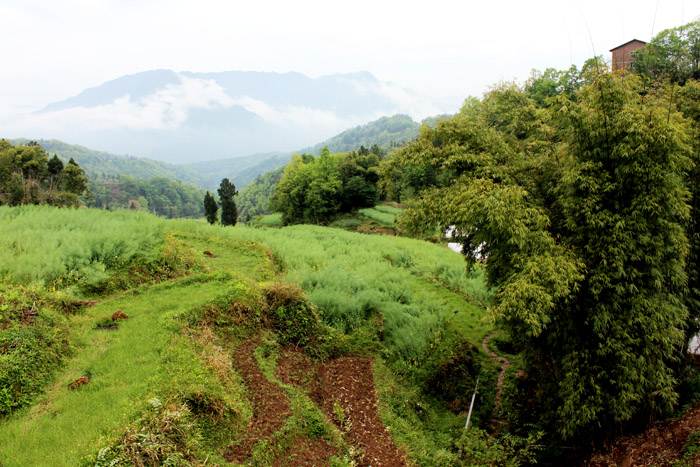 川北风光