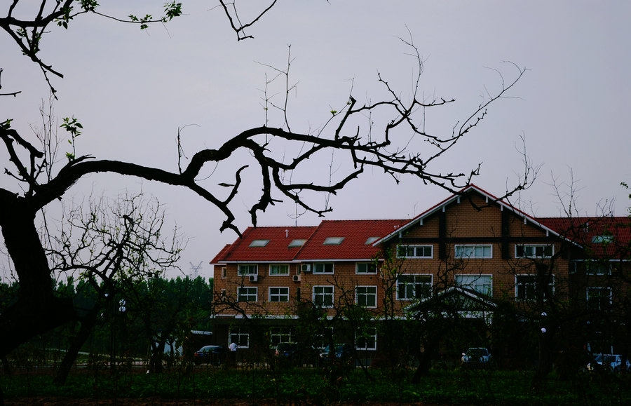 濮上风光