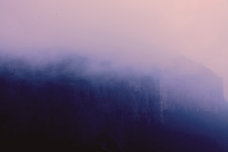 雾中小景