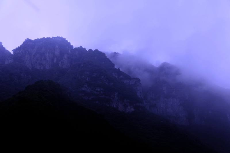 雾中小景