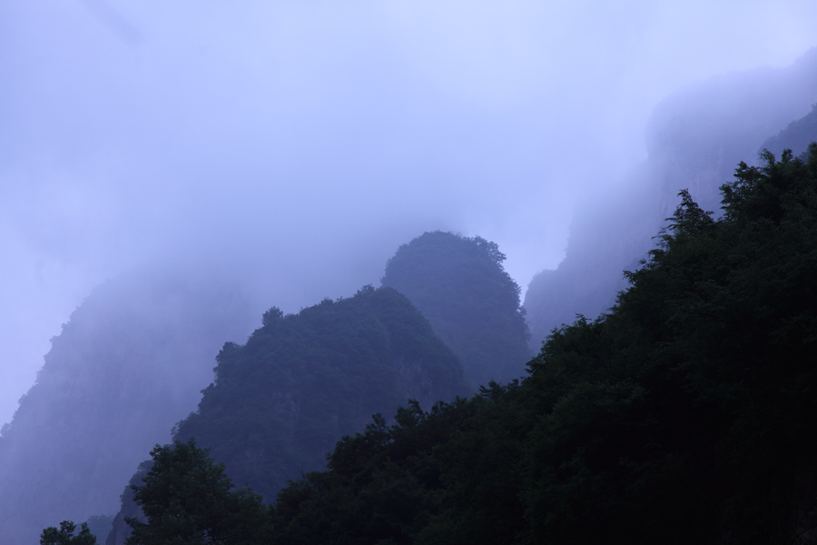 雾中小景