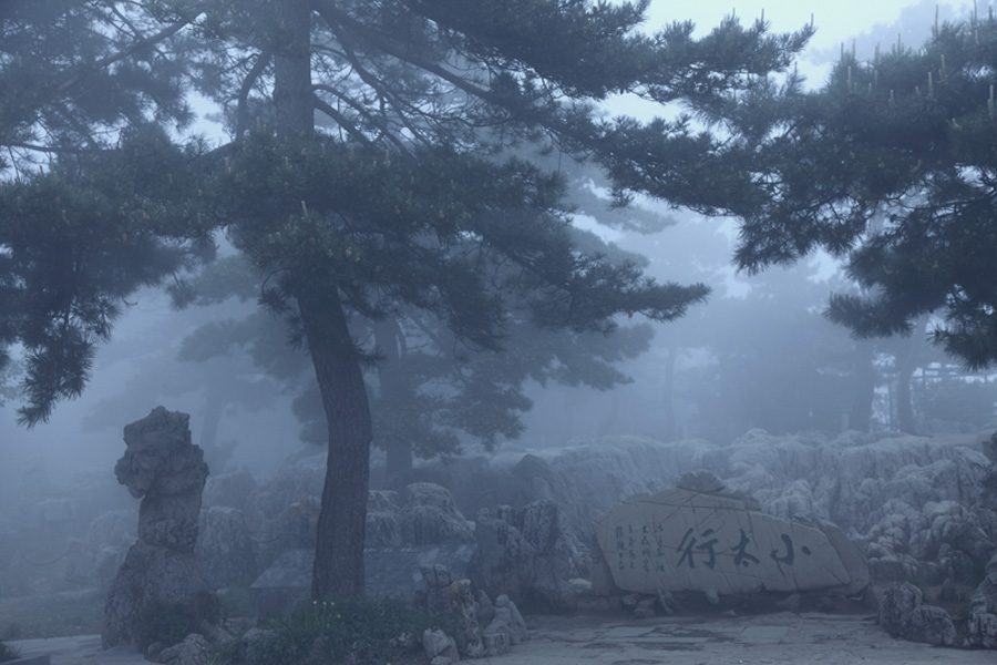 雾中小景
