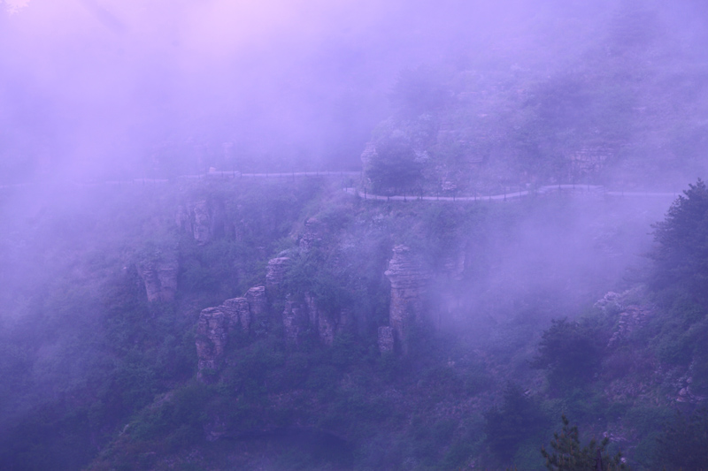 雾中小景