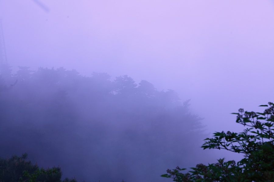 雾中小景
