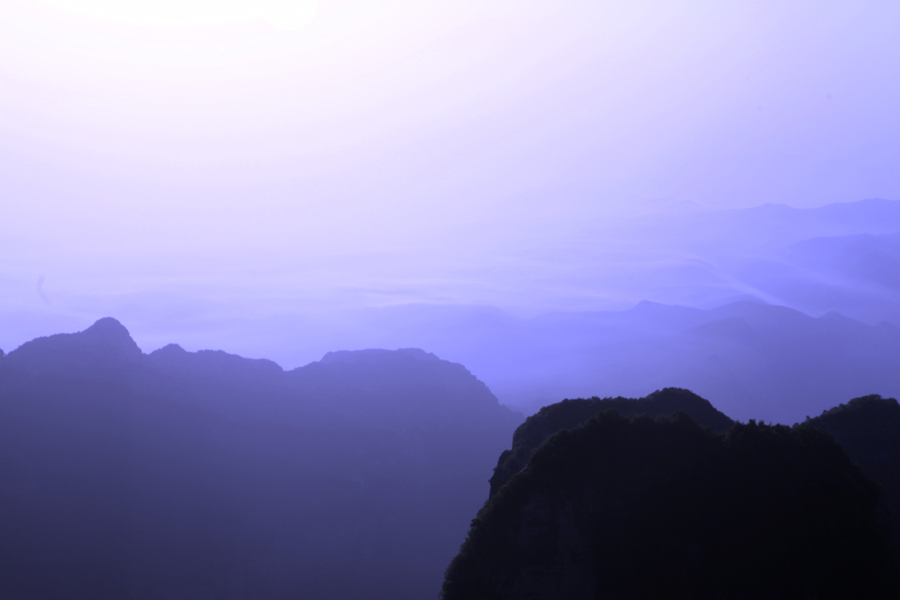 雾中小景