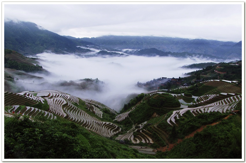 金坑梯田