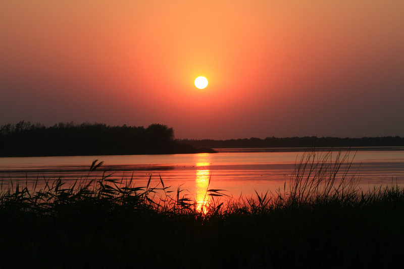 夕阳下美丽的衡水湖