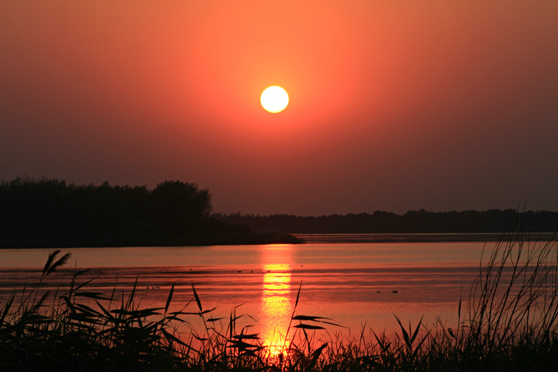 夕阳下美丽的衡水湖