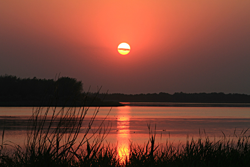 夕阳下美丽的衡水湖