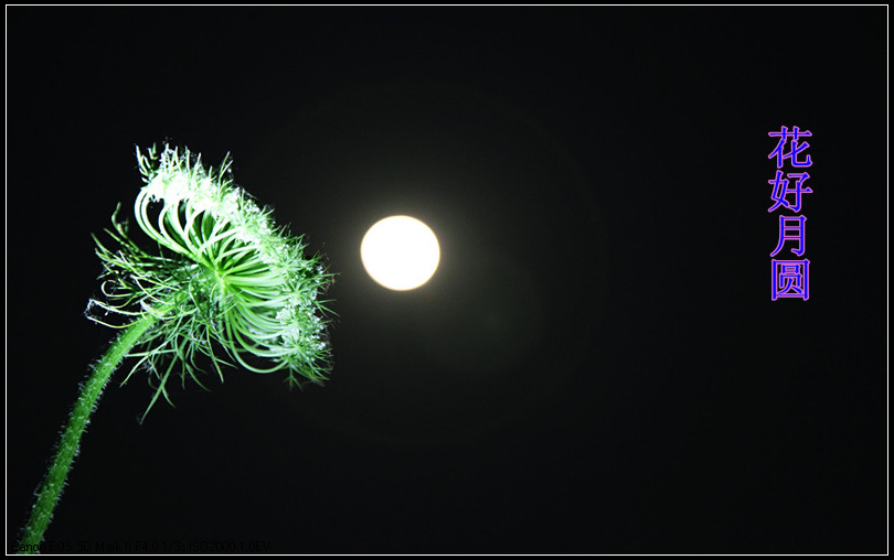 花好月圆