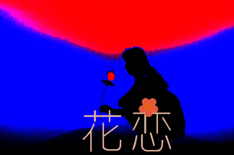 [原创]花之恋