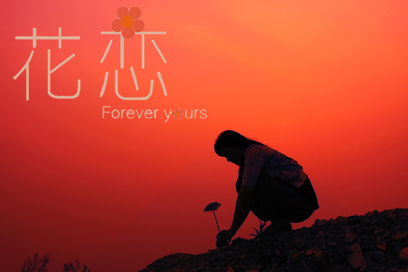 [原创]花之恋