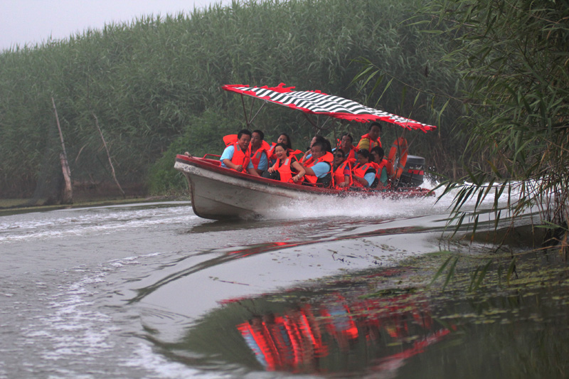 2012“与荷共舞”采风活动花絮