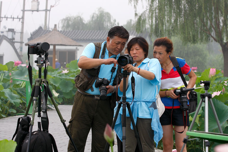 2012“与荷共舞”采风活动花絮