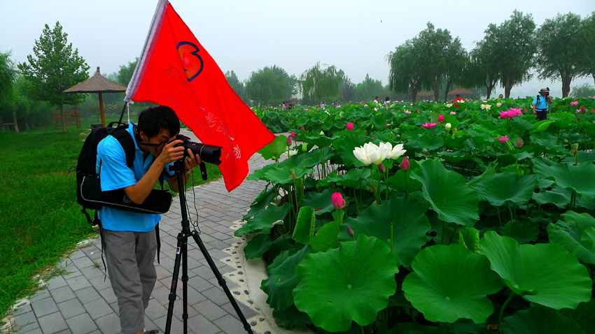 2012“与荷共舞”采风活动花絮