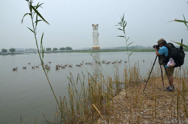 2012“与荷共舞”采风活动花絮