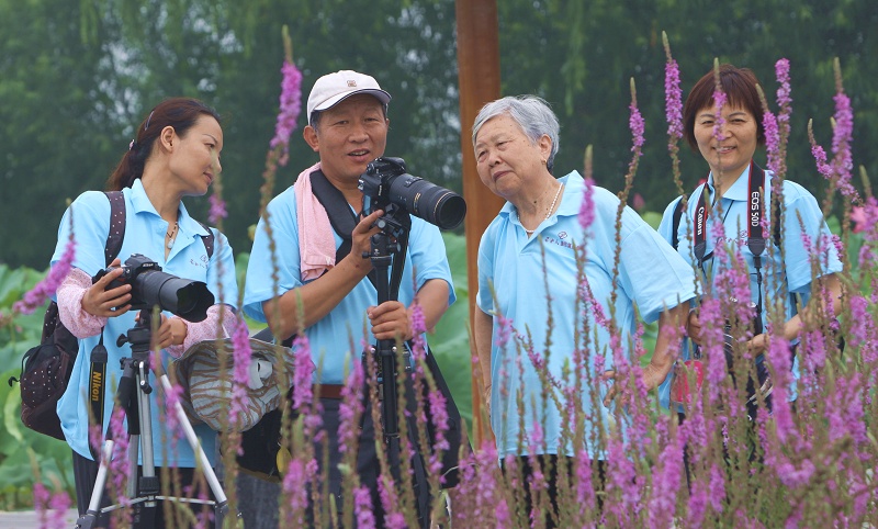 2012“与荷共舞”采风活动花絮