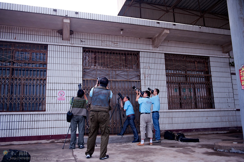2012“与荷共舞”采风活动花絮