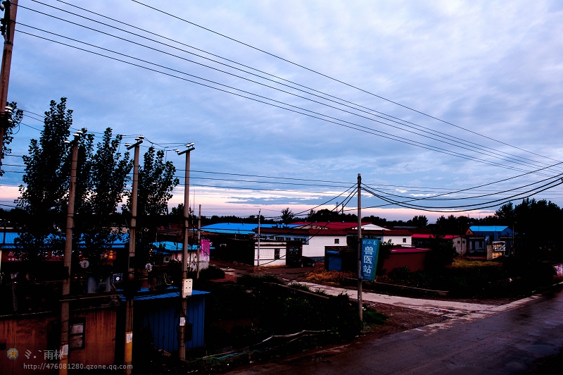 2012“与荷共舞”采风活动花絮