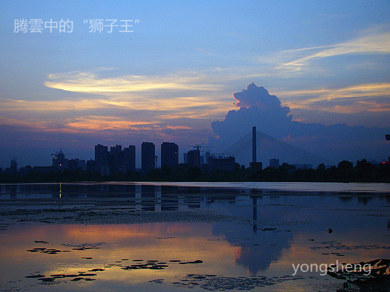 【腾雲中的“狮子王”】
