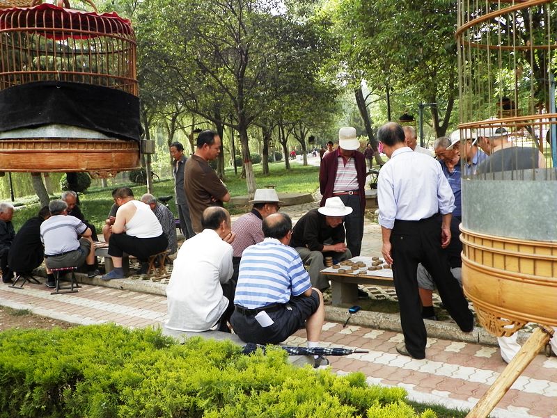 夕阳无限好