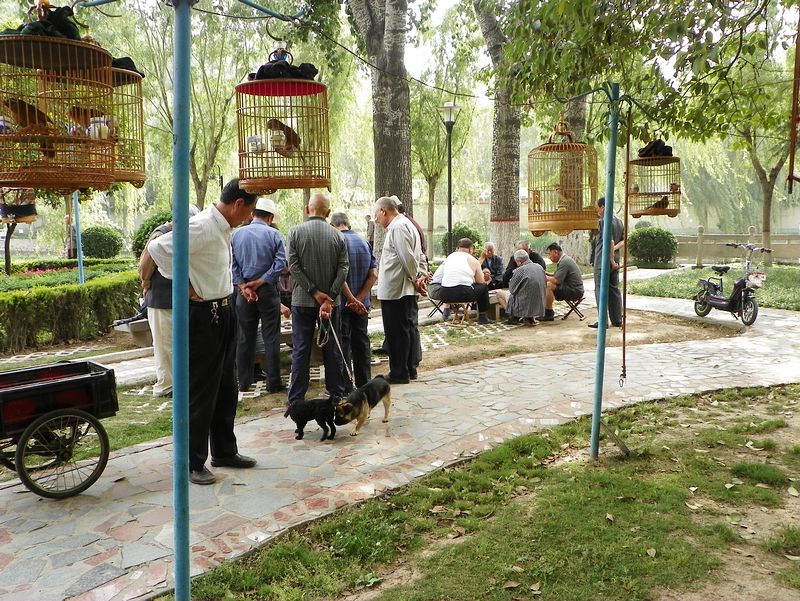 夕阳无限好