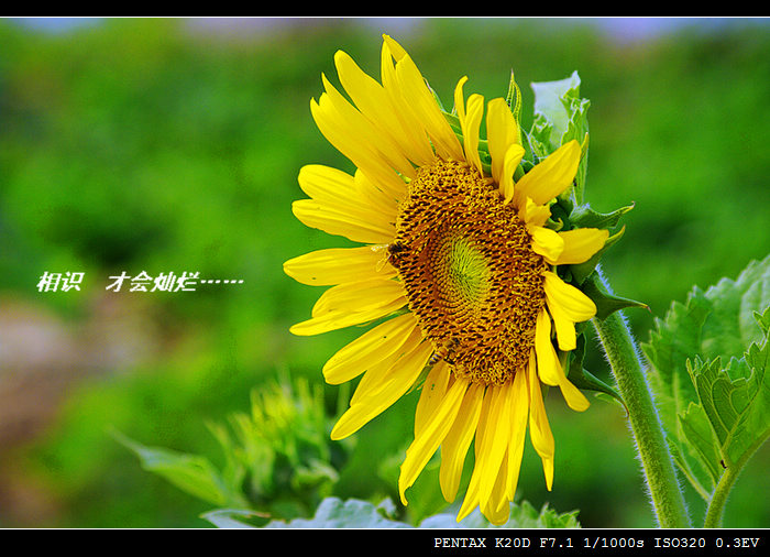 解读心情（一）