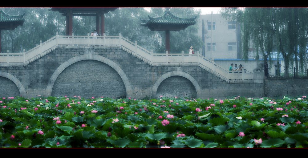 不同污淖陷渠沟－新蕾拍荷