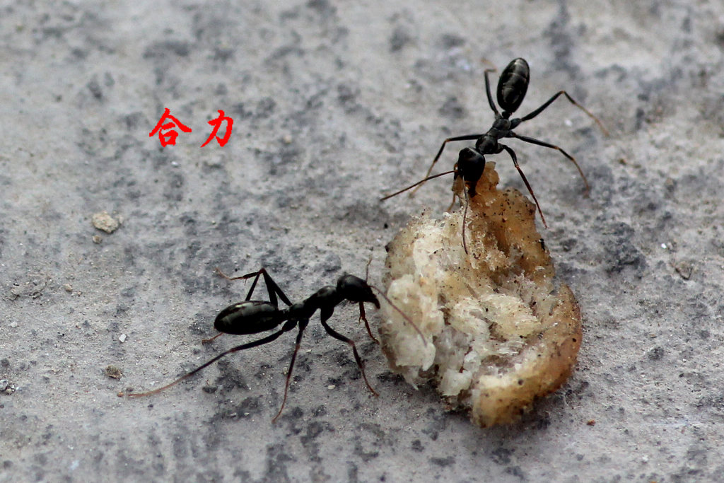 路边......