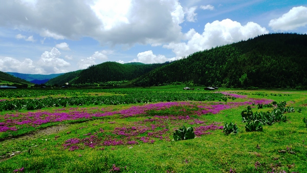 香格里拉