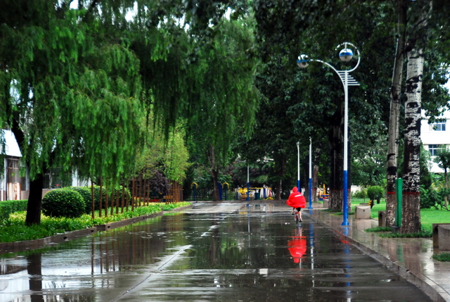 [原创]夏雨里的市政府办公大院之记忆