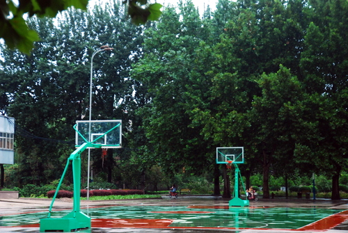 [原创]夏雨里的市政府办公大院之记忆