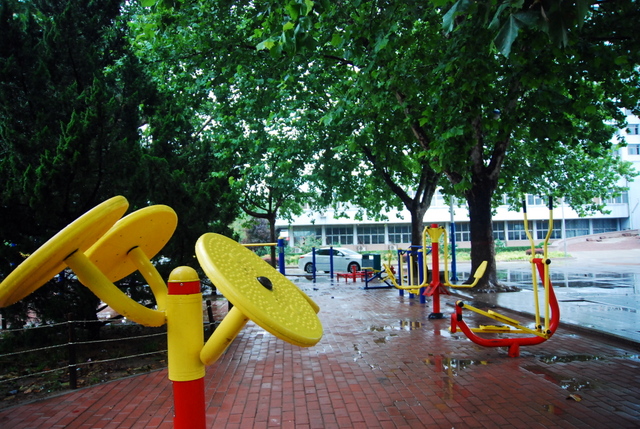 [原创]夏雨里的市政府办公大院之记忆